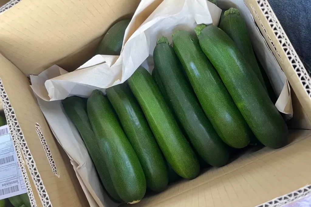 力行大叔農場-南投仁愛農場-櫛瓜-水蜜桃-高山茶葉-甜柿_240830_p_01