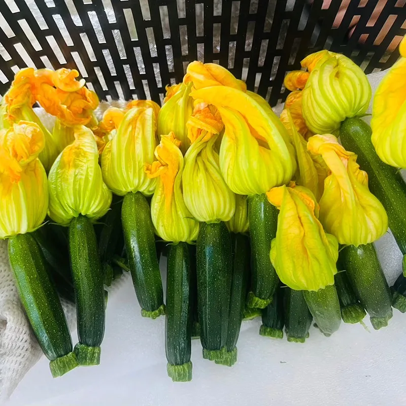 力行大叔農場-南投仁愛農場-櫛瓜-水蜜桃-高山茶葉-甜柿_products_櫛瓜花_01