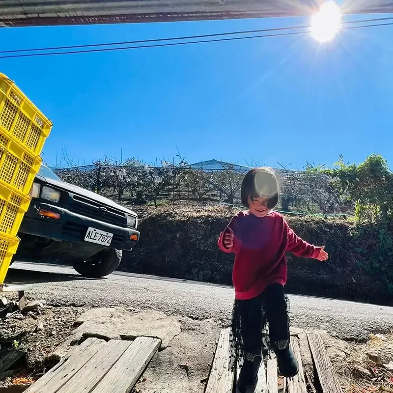 力行大叔農場-南投仁愛農場-櫛瓜-水蜜桃-高山茶葉-甜柿_products_柿子_011