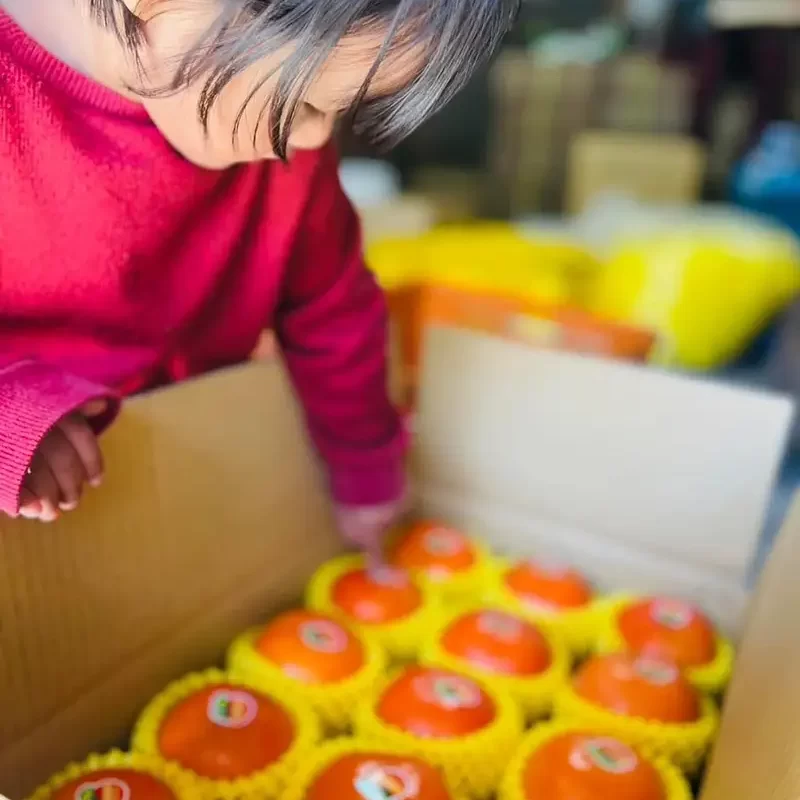 力行大叔農場-南投仁愛農場-櫛瓜-水蜜桃-高山茶葉-甜柿_products_柿子_016