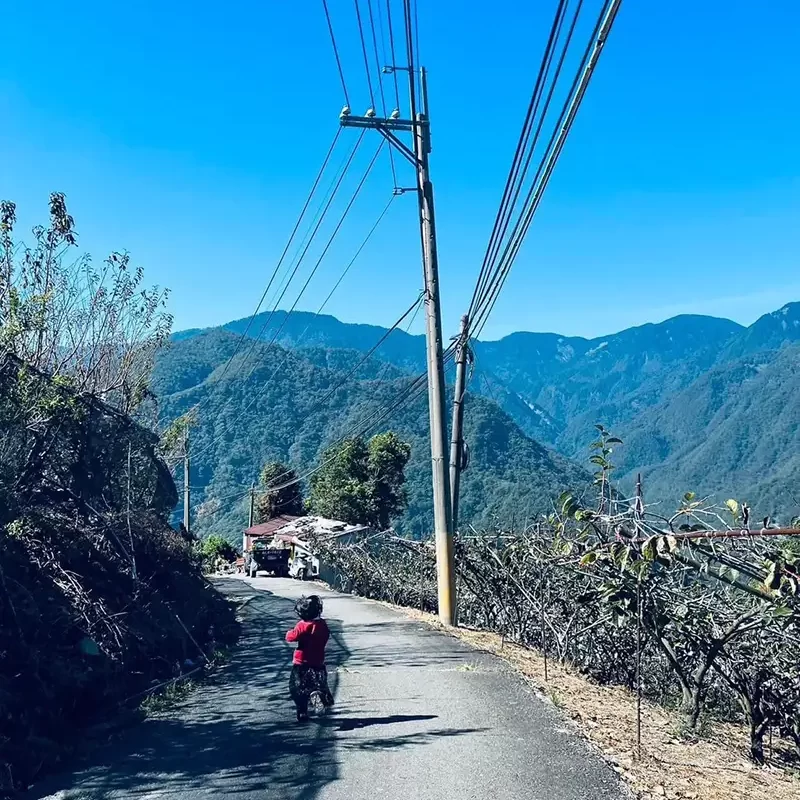 力行大叔農場-南投仁愛農場-櫛瓜-水蜜桃-高山茶葉-甜柿_products_柿子_02