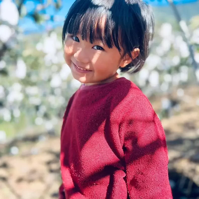 力行大叔農場-南投仁愛農場-櫛瓜-水蜜桃-高山茶葉-甜柿_products_柿子_03