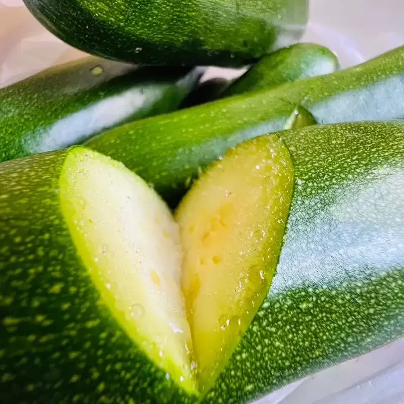 力行大叔農場-南投仁愛農場-櫛瓜-水蜜桃-高山茶葉-甜柿_products_櫛瓜_010