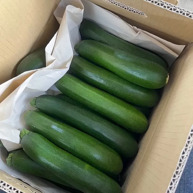 力行大叔農場-南投仁愛農場-櫛瓜-水蜜桃-高山茶葉-甜柿_products_櫛瓜_013