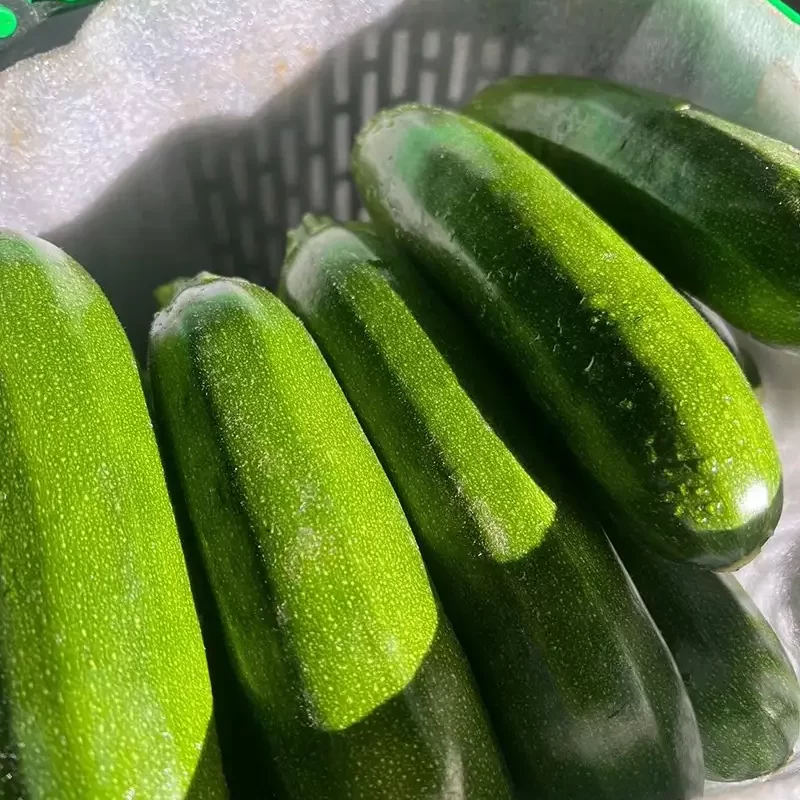 力行大叔農場-南投仁愛農場-櫛瓜-水蜜桃-高山茶葉-甜柿_products_櫛瓜_05