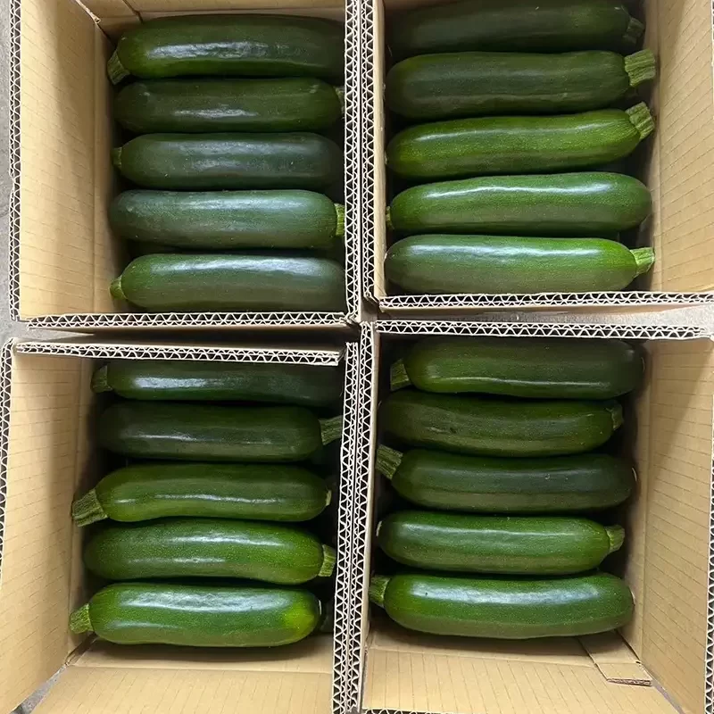 力行大叔農場-南投仁愛農場-櫛瓜-水蜜桃-高山茶葉-甜柿_products_櫛瓜_06