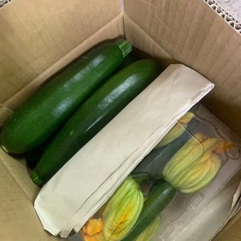 力行大叔農場-南投仁愛農場-櫛瓜-水蜜桃-高山茶葉-甜柿_products_櫛瓜_07