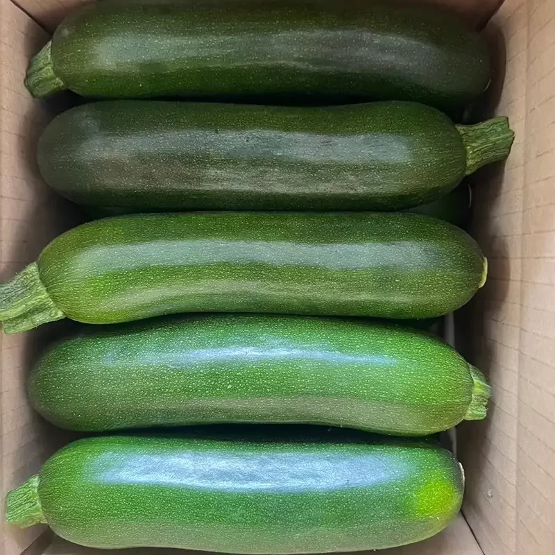 力行大叔農場-南投仁愛農場-櫛瓜-水蜜桃-高山茶葉-甜柿_products_櫛瓜_09