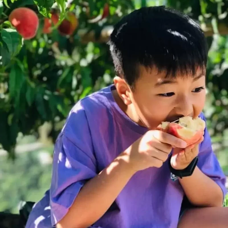 力行大叔農場-南投仁愛農場-櫛瓜-水蜜桃-高山茶葉-甜柿_products_水蜜桃_02