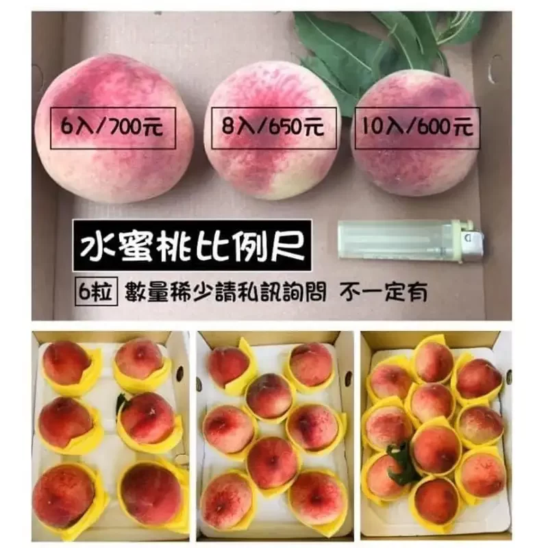 力行大叔農場-南投仁愛農場-櫛瓜-水蜜桃-高山茶葉-甜柿_products_水蜜桃_08